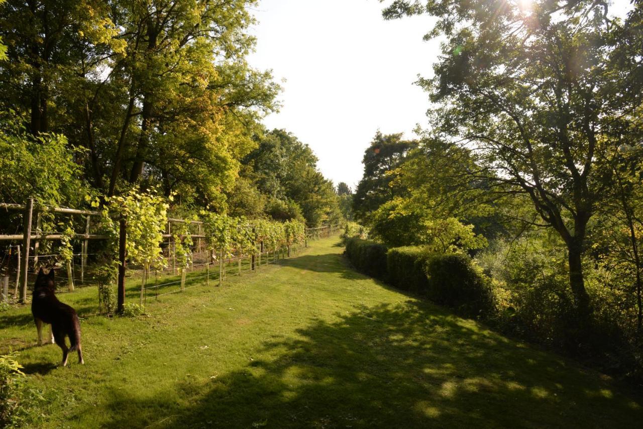 Thatchcombe B&B Wantage Bagian luar foto