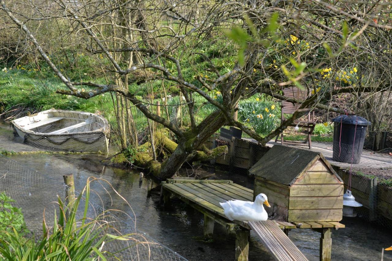 Thatchcombe B&B Wantage Bagian luar foto